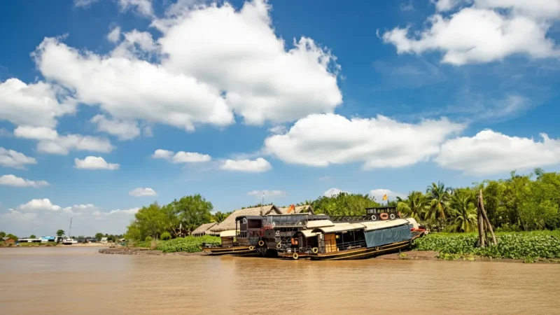 Local Boat Tours – Calm river routes(4)