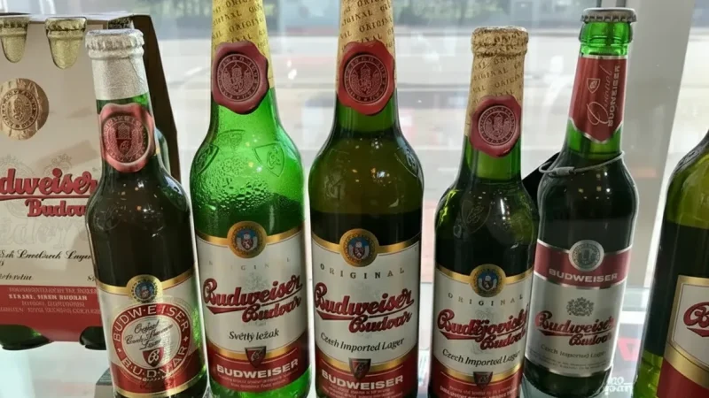 Local Breweries – Traditional beer culture(3)