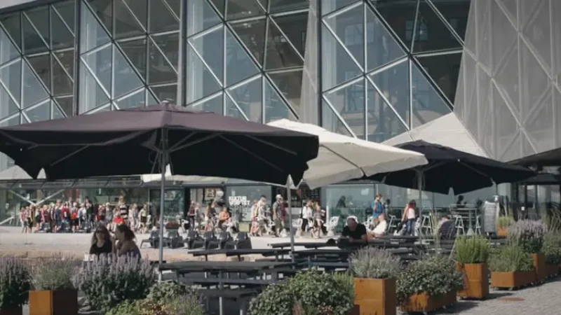Local Cafés(2)