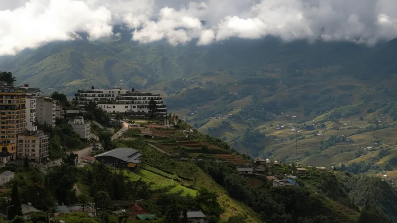 Local Coffee Shops – Mountain-view cafés(6)