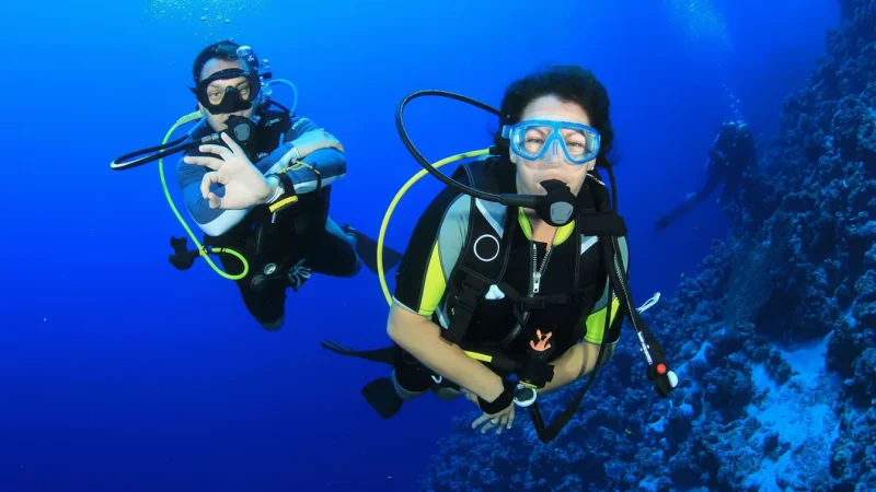Local Dive Centers – Certified diving services(5)