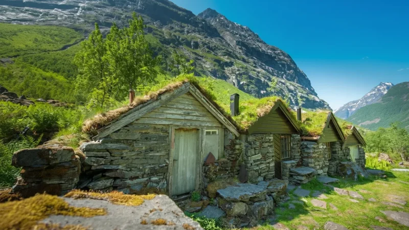 Local Farms – Rural Fjord Life Experience(1)