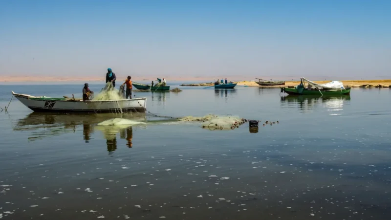 Local Fish Markets – Fresh Lake Fish Trade(4)