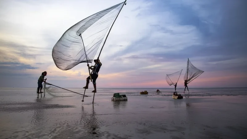 Local Fishing Areas – Traditional Coastal Life(6)