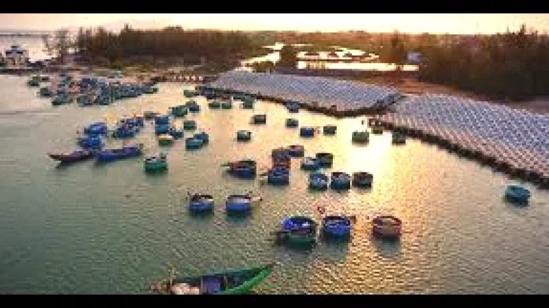 Local Fishing Docks – Daily coastal(1)