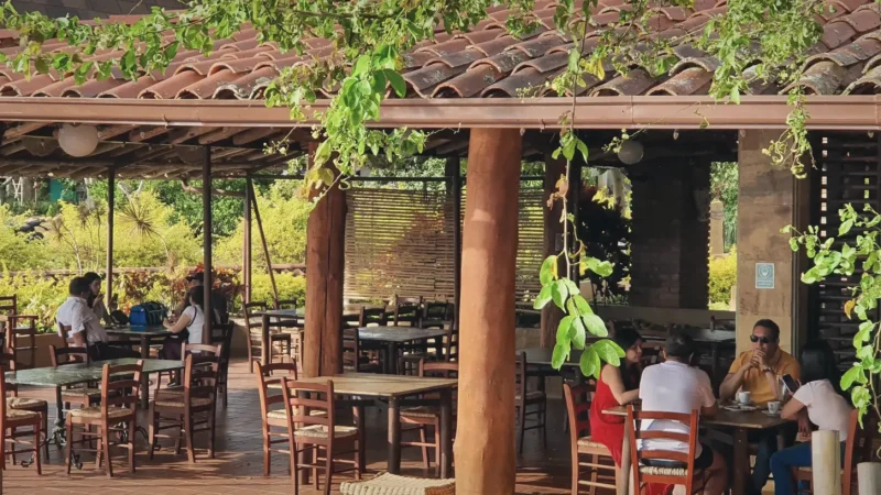 Local Food Restaurants – Regional cuisine(6)