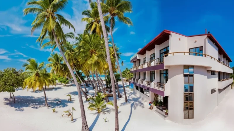 . Local Guesthouses(1)