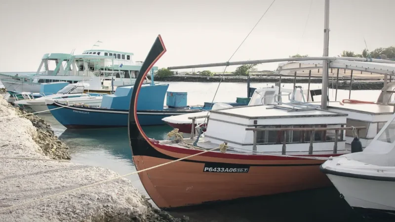 Local Harbour Area(2)