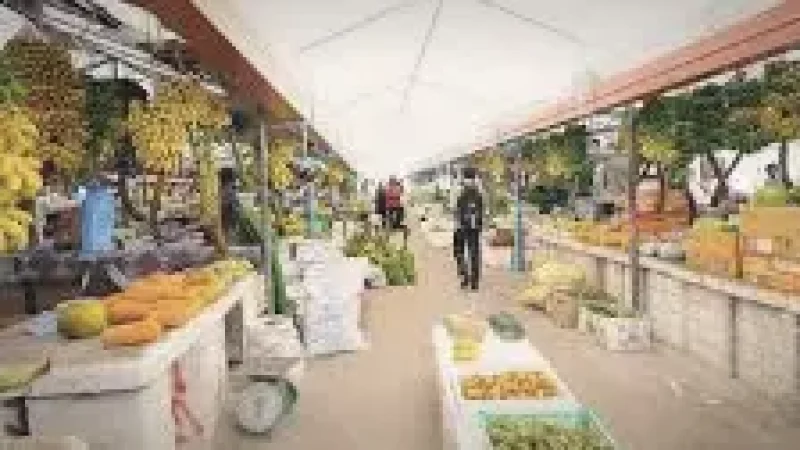 Local Market(3)