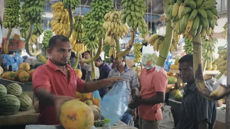 Local Market(6)