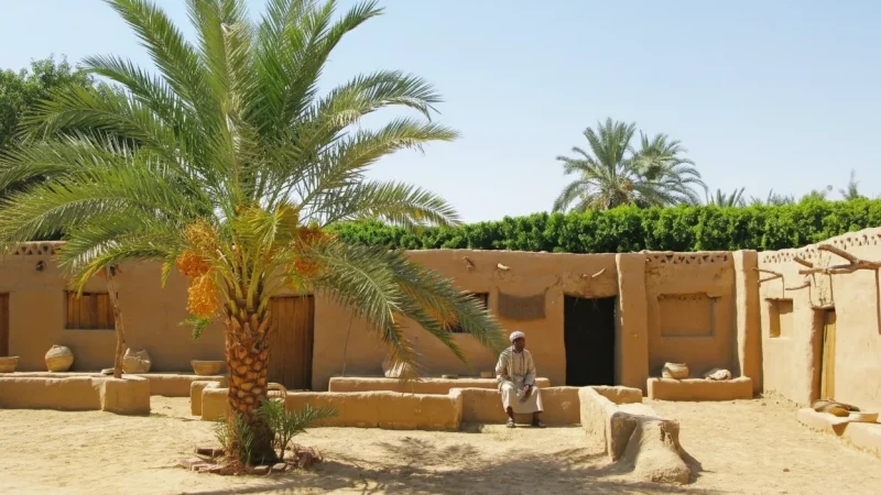 Local Markets – Daily Life & Produce(2)