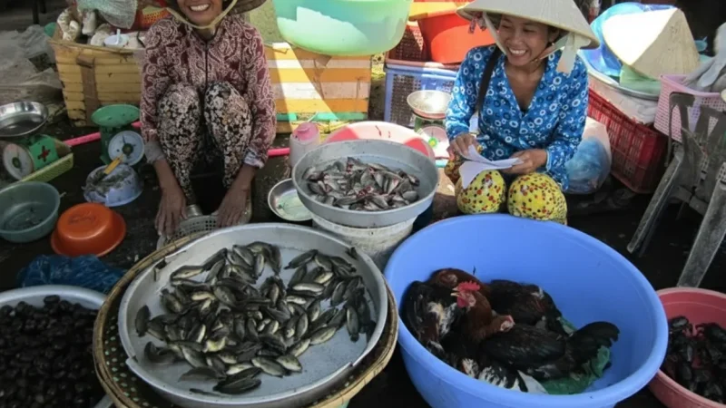 Local Markets – Fresh Produce & Handmade Items(5)