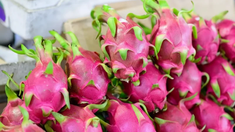 Local Markets – Fresh Produce(6)