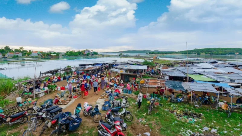 Local Markets – Fresh Produce(6)