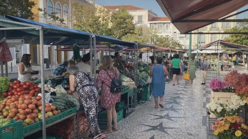 Local Markets – Fresh produce(2)