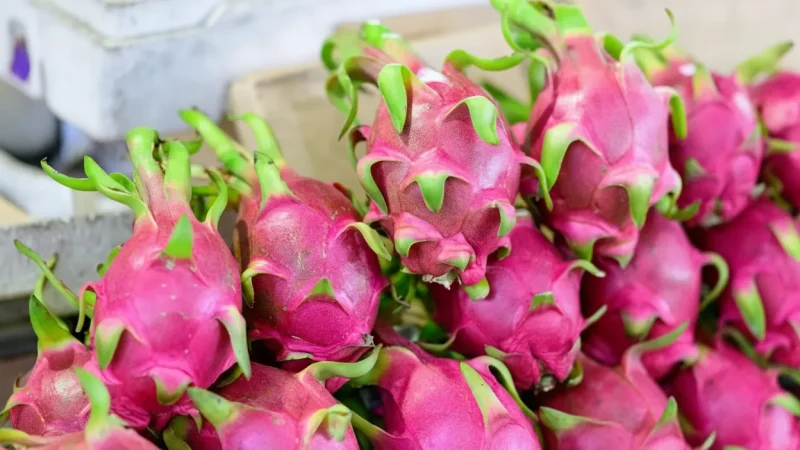 Local Markets – Fresh produce(5)