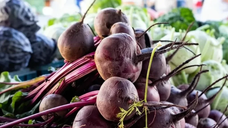 Local Markets – Regional Produce Stalls(2)