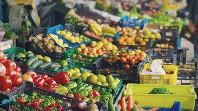 Local Markets – Regional produce and goods(4)