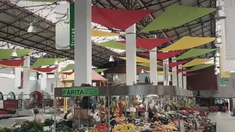 Local Markets – Regional produce(4)