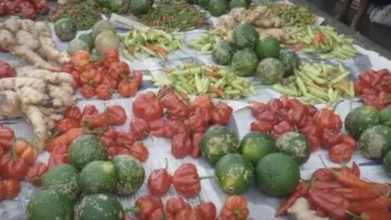 Local Markets(4)