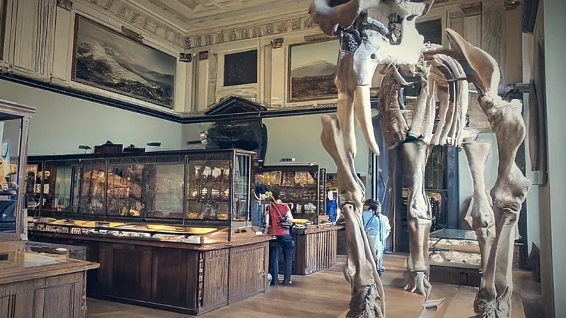 Local Museums(5)