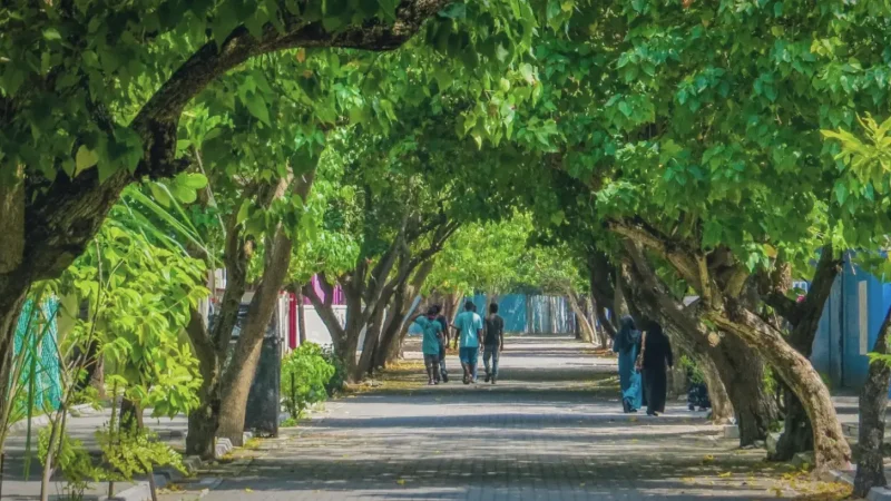 Local Park Area – relaxing family space(1)