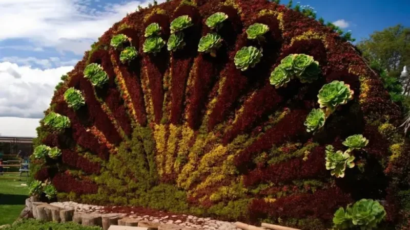 Local Plant Nurseries(5)