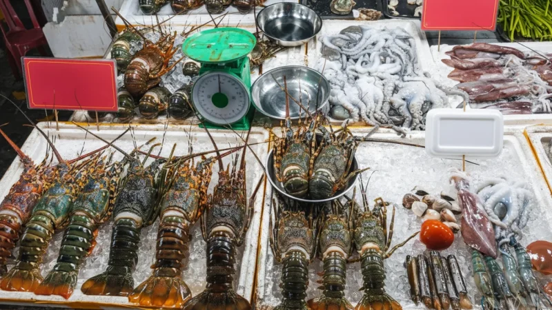 Local Seafood Market – Cam Pha(4)