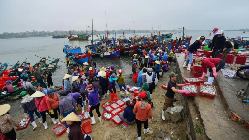Local Seafood Market – Fresh coastal dishes(1)