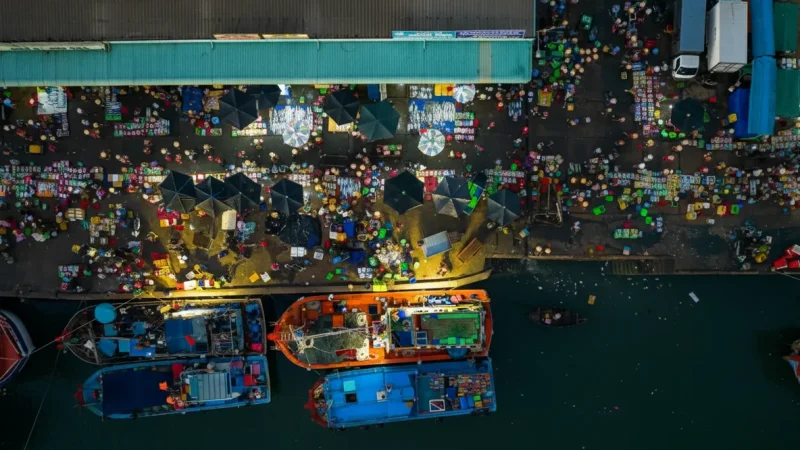 Local Seafood Markets – Fresh coastal dishes(2)