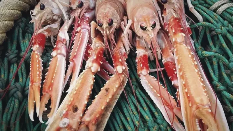 Local Seafood Restaurants – Dining spots(4)