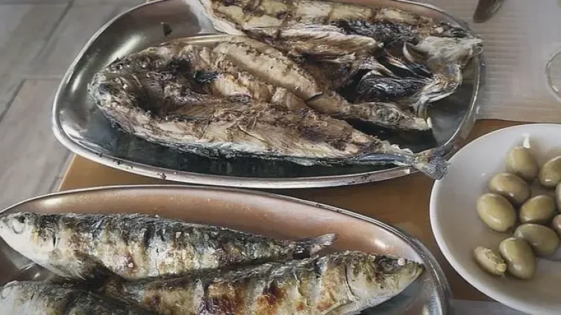 Local Seafood Restaurants – Fresh fish dishes(4)