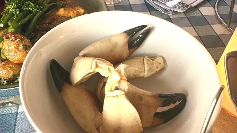 Local Seafood Restaurants(1)