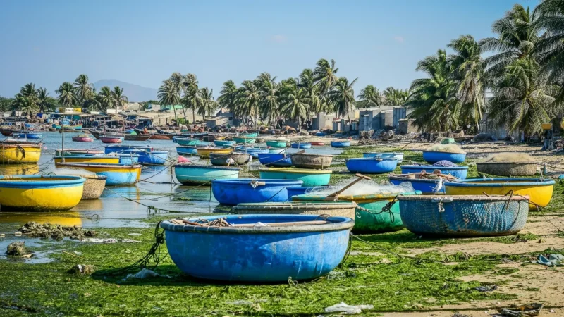 Local Seafood Villages(3)
