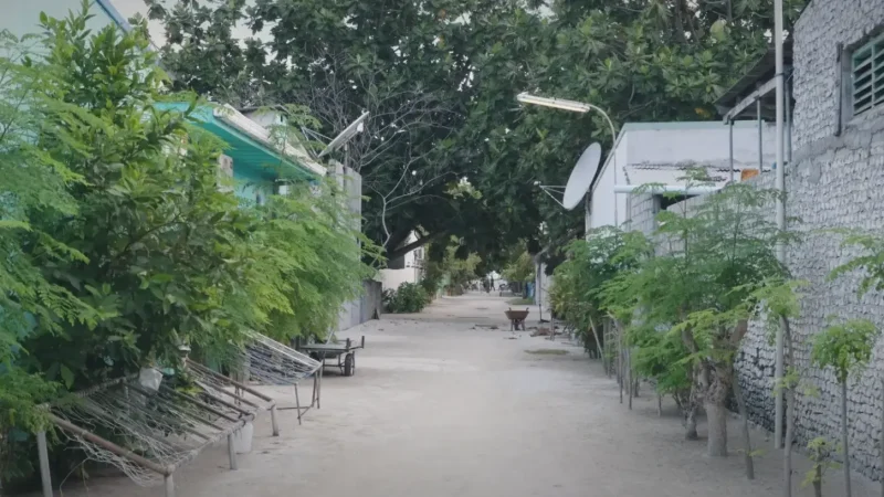 Local Streets & Craft Shops(4)