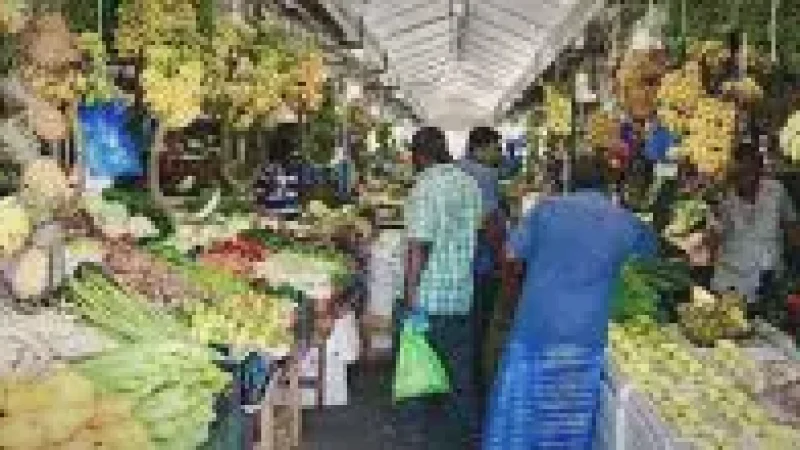 Local Streets & Market – Explore simple island l(3)
