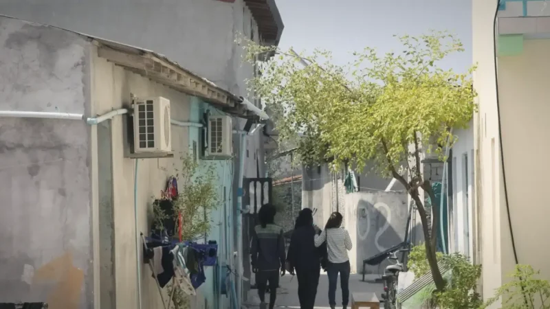 Local Streets & Shops(4)