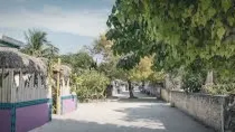 Local Streets – Cultural island(3)