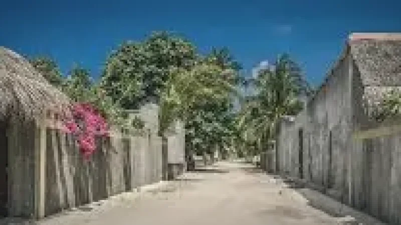 Local Streets –(5)