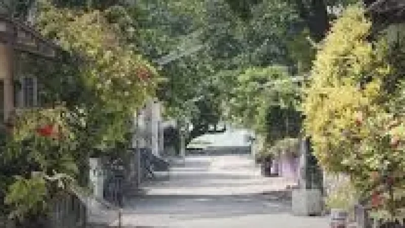Local Streets(3)