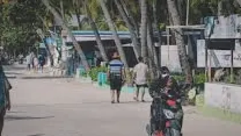 Local Streets(5)