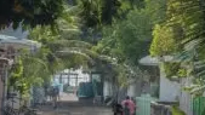 Local Streets(6)