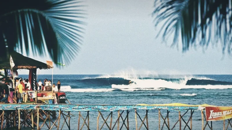 Local Surf Shops – Gear and souvenirs(3)