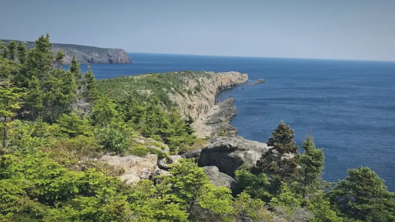 Local Walking Trails – Easy coastal walks(4)