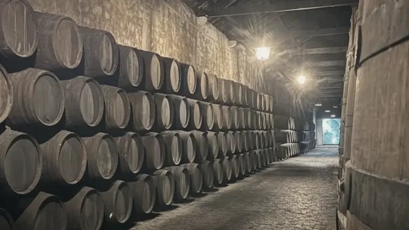 Local Wine Cellars(3)