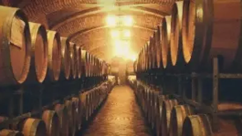 . Local Wineries – Wine tasting experiences(2)
