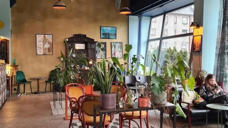 Local_Cafés_04