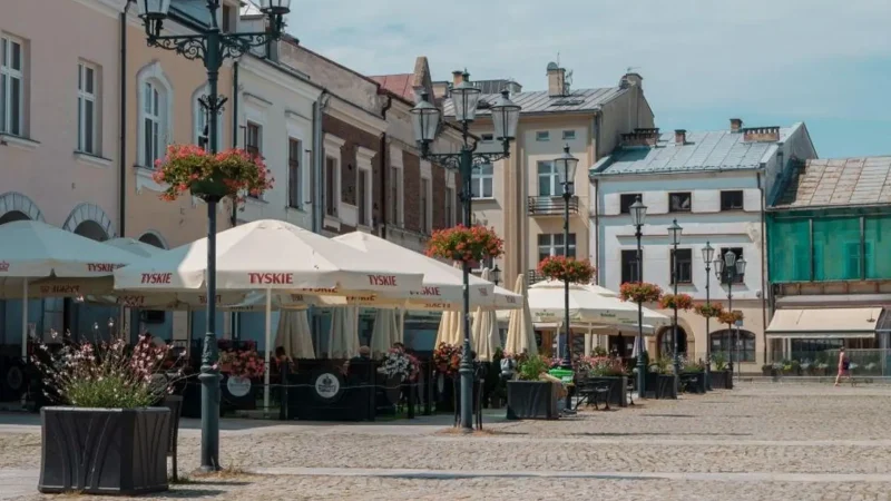 Local_Cafés_04