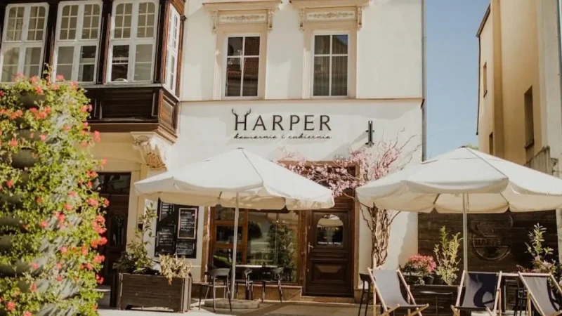 Local_Cafés_05