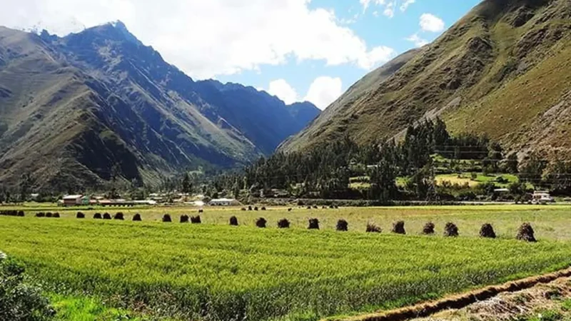 Local_Farmlands_–_Fertile_agricultural_areas__02